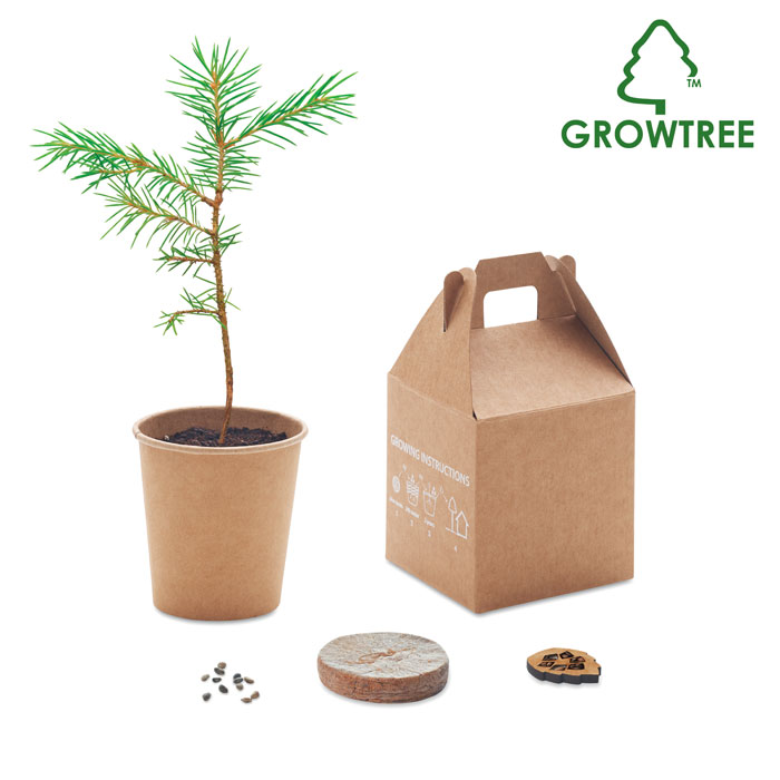 Pine tree box | Eco promotional gift